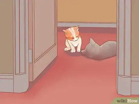 Image titled Adopt a Pair of Kittens Step 19