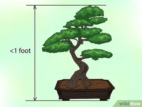 Image titled Make a Western Hemlock Bonsai Tree Step 1