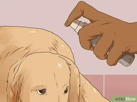 Image titled Keep Pets Safe Around Essential Oils Step 8