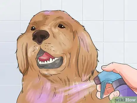 Image titled Dye Your Pet Step 12