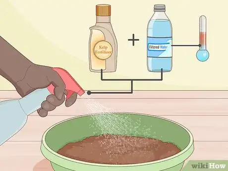 Image titled Grow Wheatgrass Without Soil Step 7