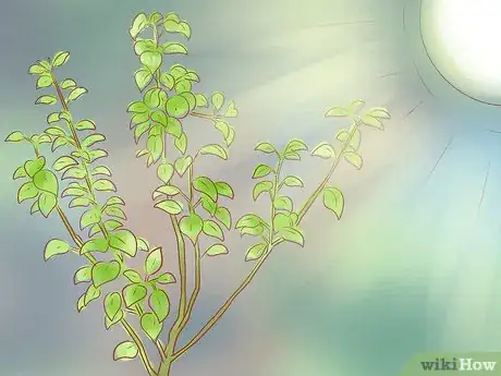 Image titled Prune a Fruit Tree Step 13