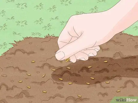 Image titled Repair a Bare Patch of Lawn Step 5