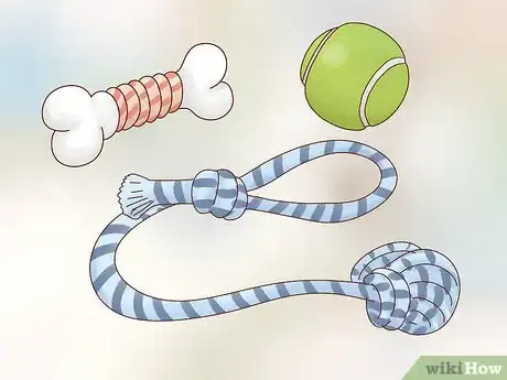 Image titled Care for Boxers Step 15