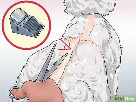 Image titled Do a Banded Dutch on a Poodle Step 9