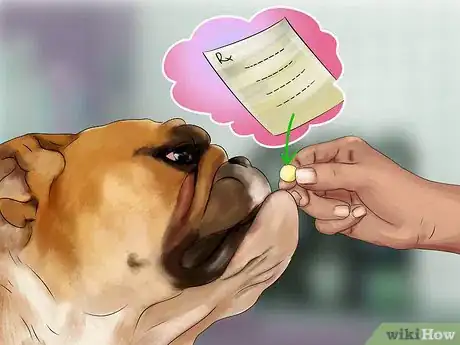 Image titled Treat Fever in Dogs Step 11