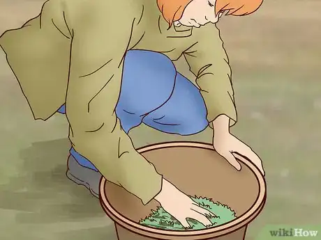 Image titled Feed a Horse a Mint Step 6