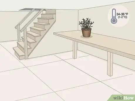 Image titled Overwinter Fuchsias Step 5