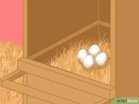 Image titled Keep Chickens from Eating Their Own Eggs Step 3