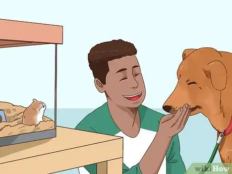 Image titled Keep a Gerbil Safe Around Other Pets Step 7