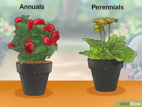 Image titled Buy Potted Flowers Step 1
