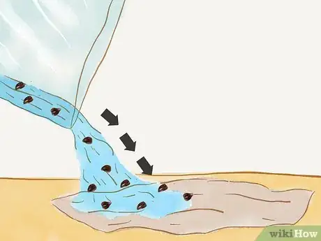 Image titled Grow Redwoods from Seed Step 4