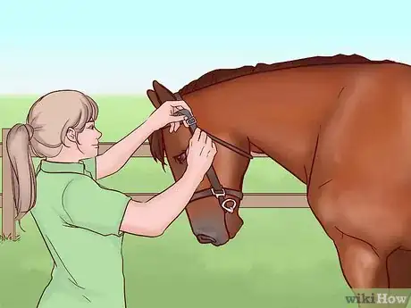 Image titled Compete in an English Pleasure Class Step 7