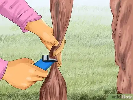 Image titled Care for a Draft Horse Step 12
