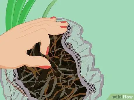 Image titled Make a Shower Caddy Garden Step 6