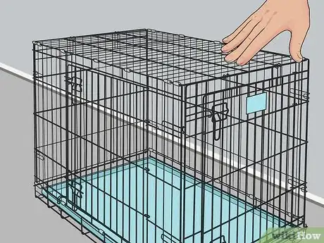 Image titled Keep Pet Mice Safe from Other Pets Step 2