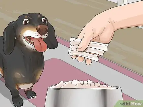 Image titled Get Along with Your Dog Step 9