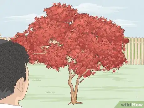 Image titled Plant Trees Near a Home without Damaging Your Foundation Step 1