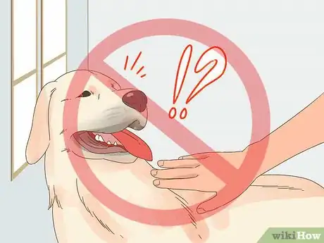 Image titled Care for a Dog Blind from Birth Step 11