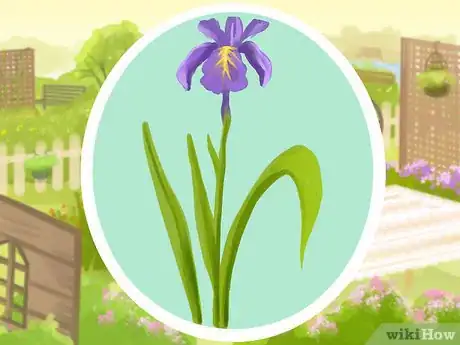 Image titled Plant a Deer‐Resistant Garden Step 20