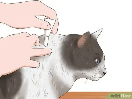 Image titled Protect Your Pets from Summertime Pests Step 22