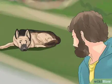 Image titled Rehabilitate an Overly Shy Dog Step 15