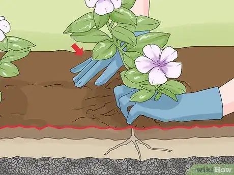 Image titled Plant a Rock Garden Step 22