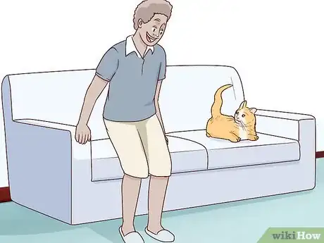 Image titled Train a Cat to Stop Fearing Sudden Movements Step 7