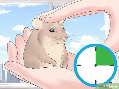 Image titled Train Your Hamster Step 3