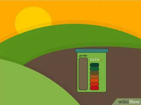 Image titled Plant Forget Me Not Seeds Step 02