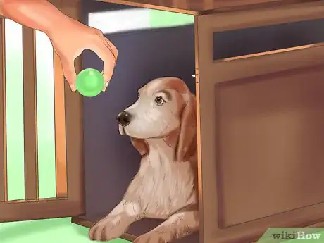 Image titled Crate Train Your Dog or Puppy Step 8
