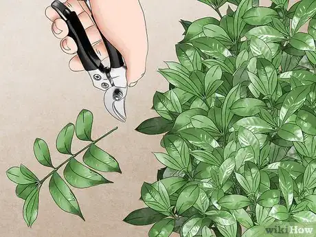 Image titled Get Rid of Spiders on an Outside Desk Step 5