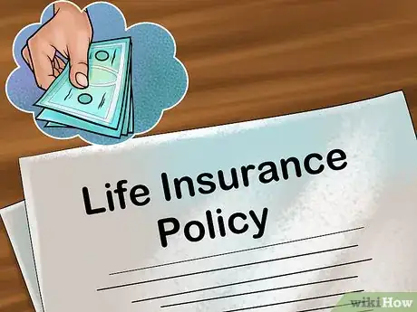 Image titled Make Sure Your Cat Is Cared for After Your Death Step 8