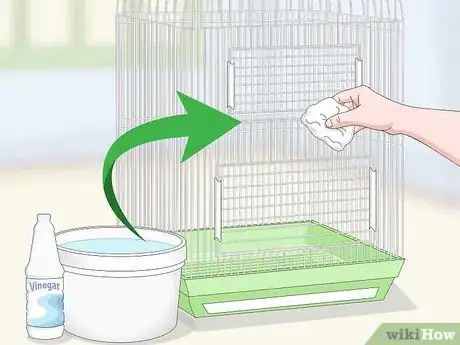 Image titled Clean a Caique Parrot Cage Step 9