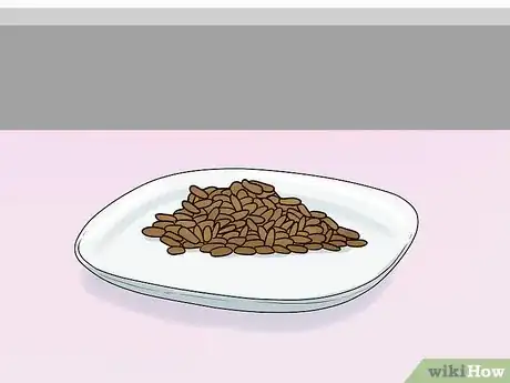 Image titled Feed a Ferret Step 6