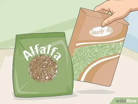 Image titled Choose Guinea Pig Food Step 15
