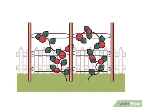 Image titled Stake Tomato Plants Step 16