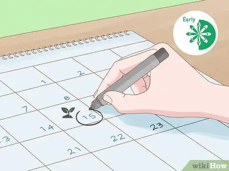 Image titled Grow Black Eyed Susan Flowers Step 3