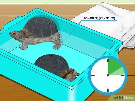 Image titled Help a Shedding Pet Reptile Step 2