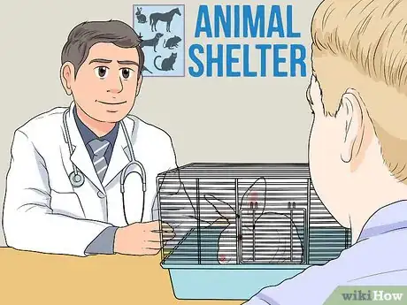 Image titled Choose a Pet Rabbit Step 7
