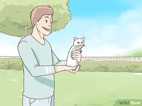 Image titled Train a Cat to Stop Fearing Sudden Movements Step 2