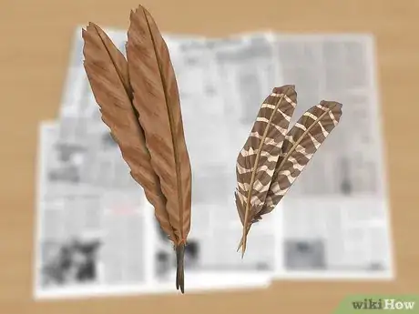 Image titled Pluck a Pheasant Step 2