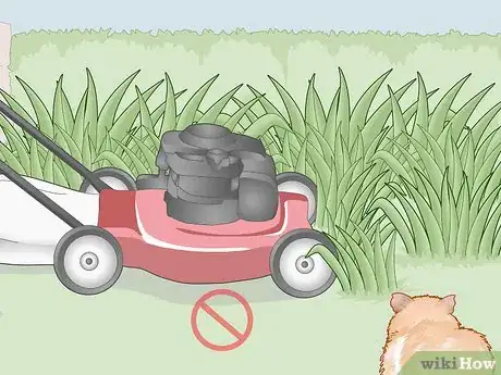 Image titled Care for an Outdoor Guinea Pig Step 16