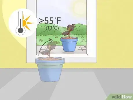 Image titled Plant Begonias in a Pot Step 7