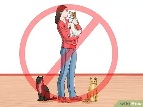 Image titled Have Cats Without Being a Cat Lady Step 1