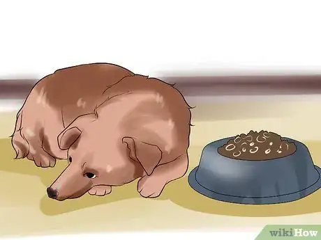 Image titled End Dog Separation Anxiety With Desensitization Step 8