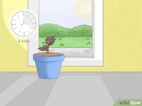 Image titled Plant Begonias in a Pot Step 6