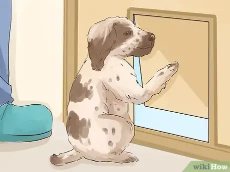 Image titled Help Your Dog Live Longer Step 19
