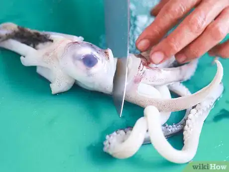 Image titled Cook Squid Step 3