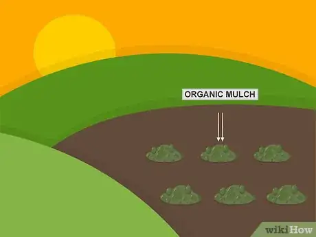 Image titled Plant Forget Me Not Seeds Step 05